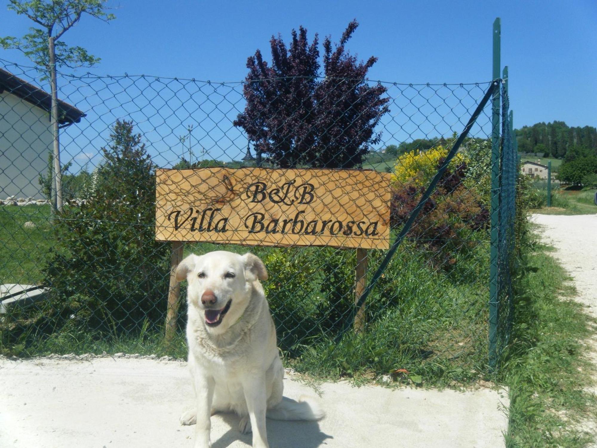 B&B Villa Barbarossa Petrignano Екстериор снимка